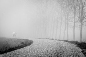 fog-1 (1)