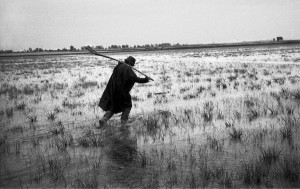 Fotografia di GIANNI BERENGO GARDIN ©, titolo dell'opera "Livorno Ferraris: Tenuta Colombara, in risaia", 2011 - dalla serie "Il racconto del riso" Mostra fotografica: SLOW PHOTO PROJECT. Della lentezza in fotografia / 24 – 25 – 26 Gennaio 2014 Galleria Ex Fonderia Via Sante Vincenzi, 2 BOLOGNA a cura di SAVIGNANO IMMAGINI – La Fotografia Savignano sul Rubicone Per info: tel. 0541.944017 Palazzo Vendemini